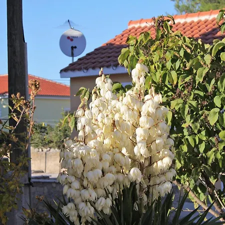 Apartment With Parking Space Privlaka, Zadar - 5849
